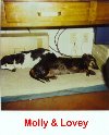 Molly and Lovey